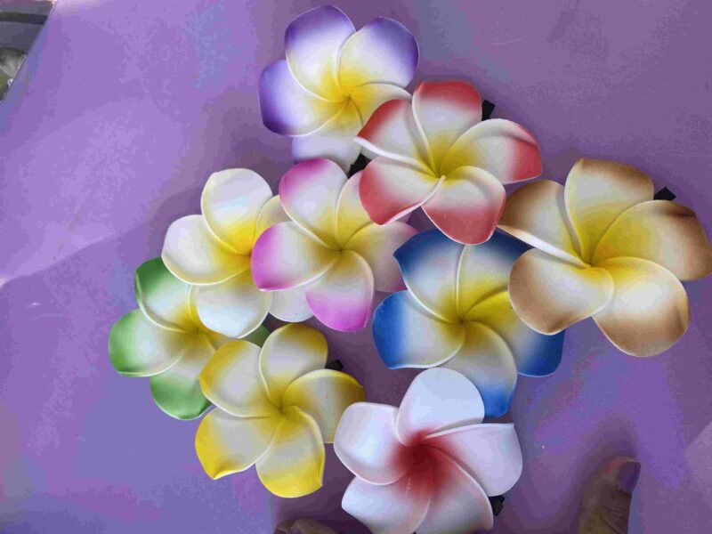 GANCHO HAWAIANO MAJO - Image 3