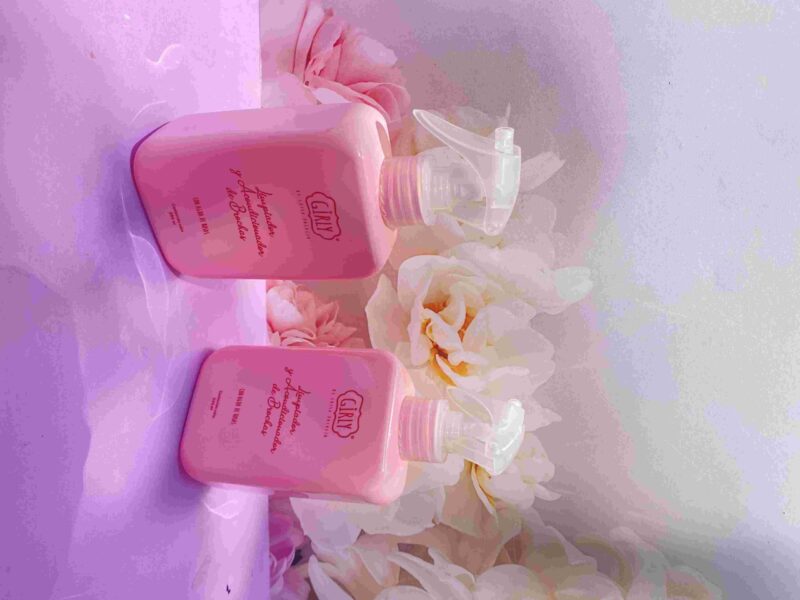 LIMPIADOR Y ACONDICIONADOR DE BROCHAS EN SECO GIRLY
